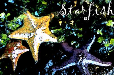 Starfish